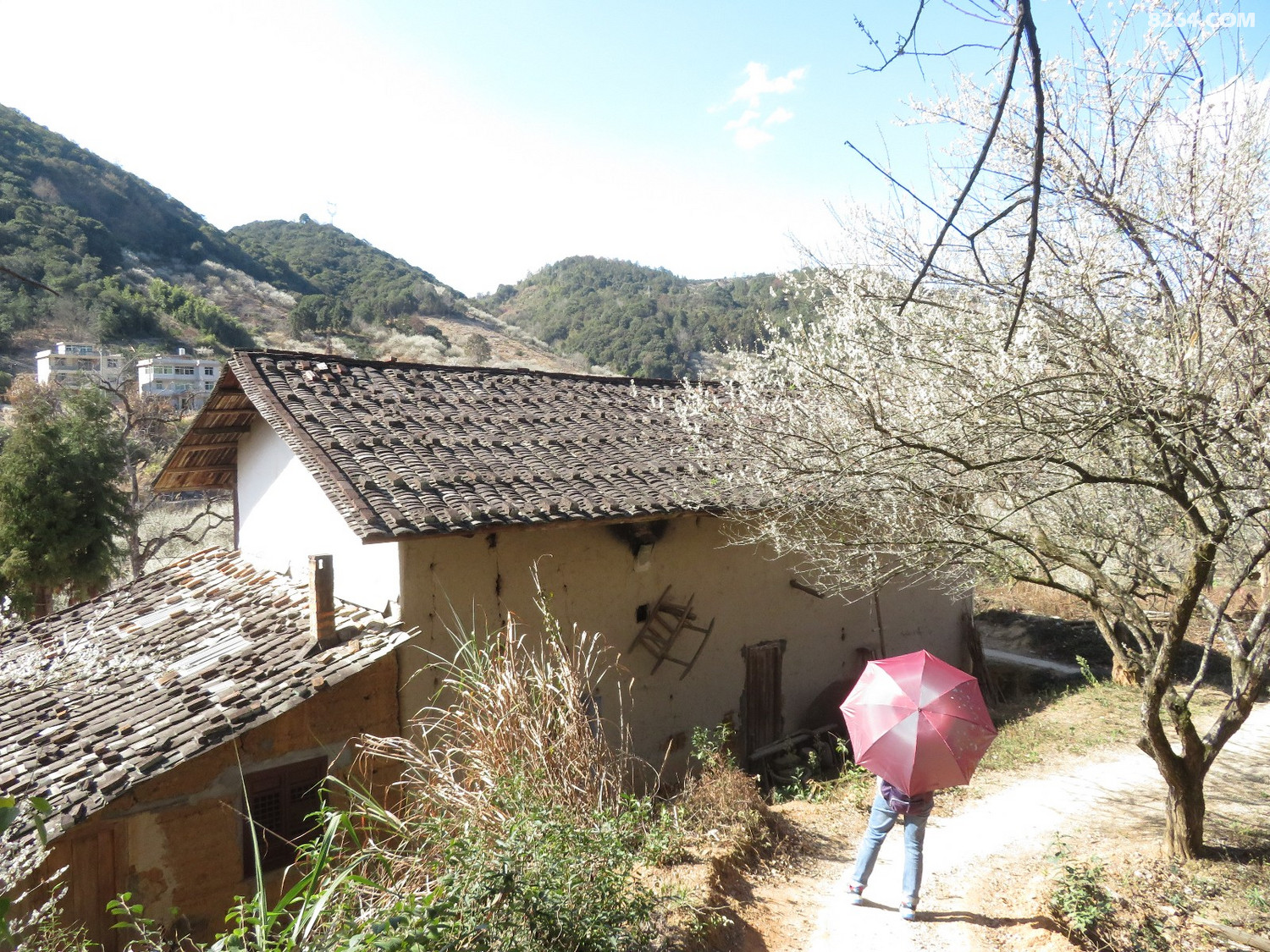 永泰溪洋村葛岭文埕湾2021年1月22日