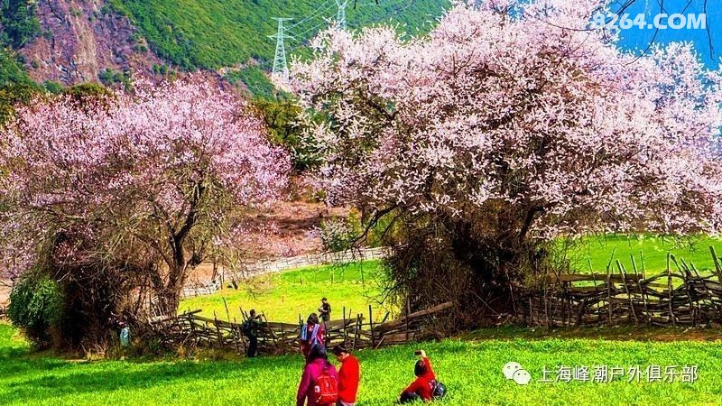 2021西藏b线林芝波密桃花节7天含大门票独立小团已成行仍可报名