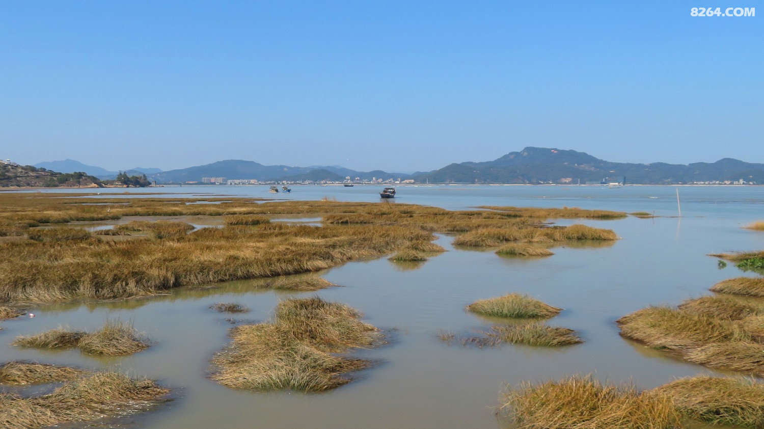 东湖湿地公园王母礁十七孔闽江河口湿地公园2021年2月15日