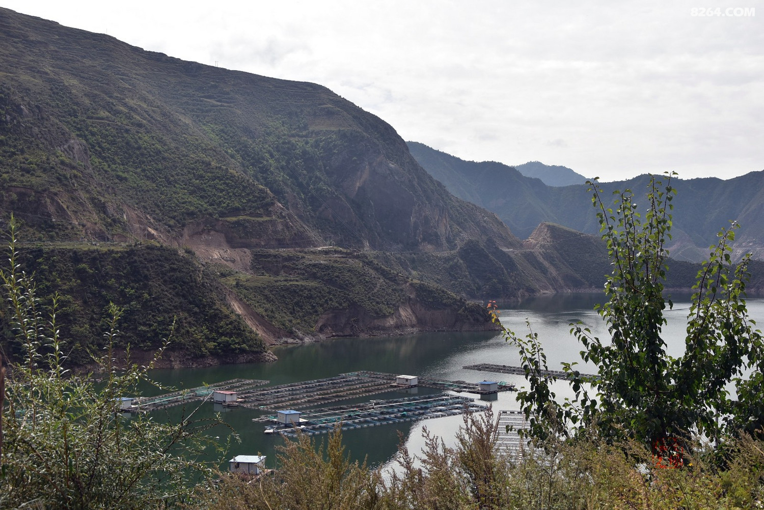 甘南卓尼九甸峡风光