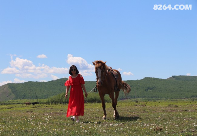 IMG_7919.jpg