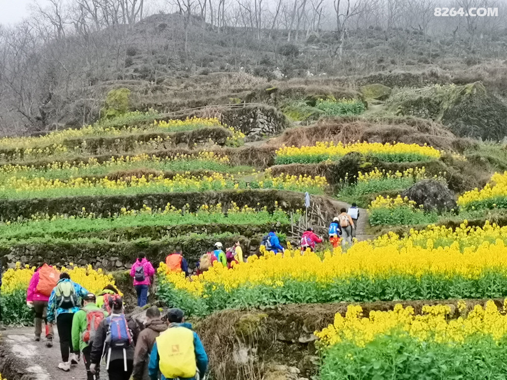 ̹壬ֻ³ȥĹŴ䣬Ͳ˻ѾʢɨοͣǱμƻ·:̹-ʯ-֮-˾ʯ-ժ̨-嶥-ͷ壬Ҳʵ·