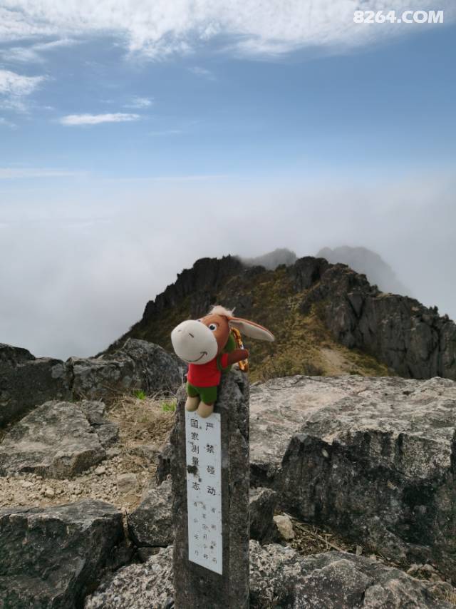 ǰ8264ٹĹԺһЩ¿ʧ·ӣ򵼡Ԥ־˺þãմһͬ⵽ĿĵУг̡