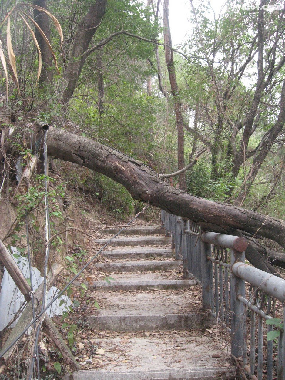 福州罗汉山漫游3月19日
