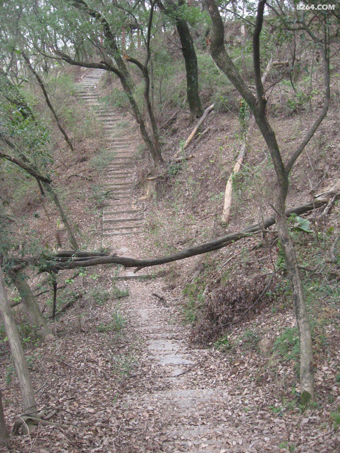 福州罗汉山漫游3月19日