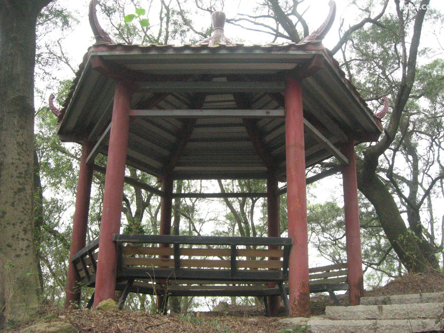 福州罗汉山漫游3月19日