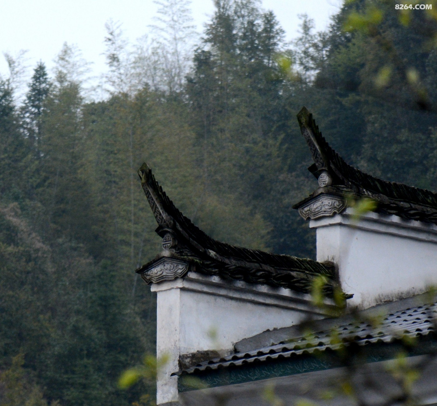 DSC_5332_����.jpg 1.jpg