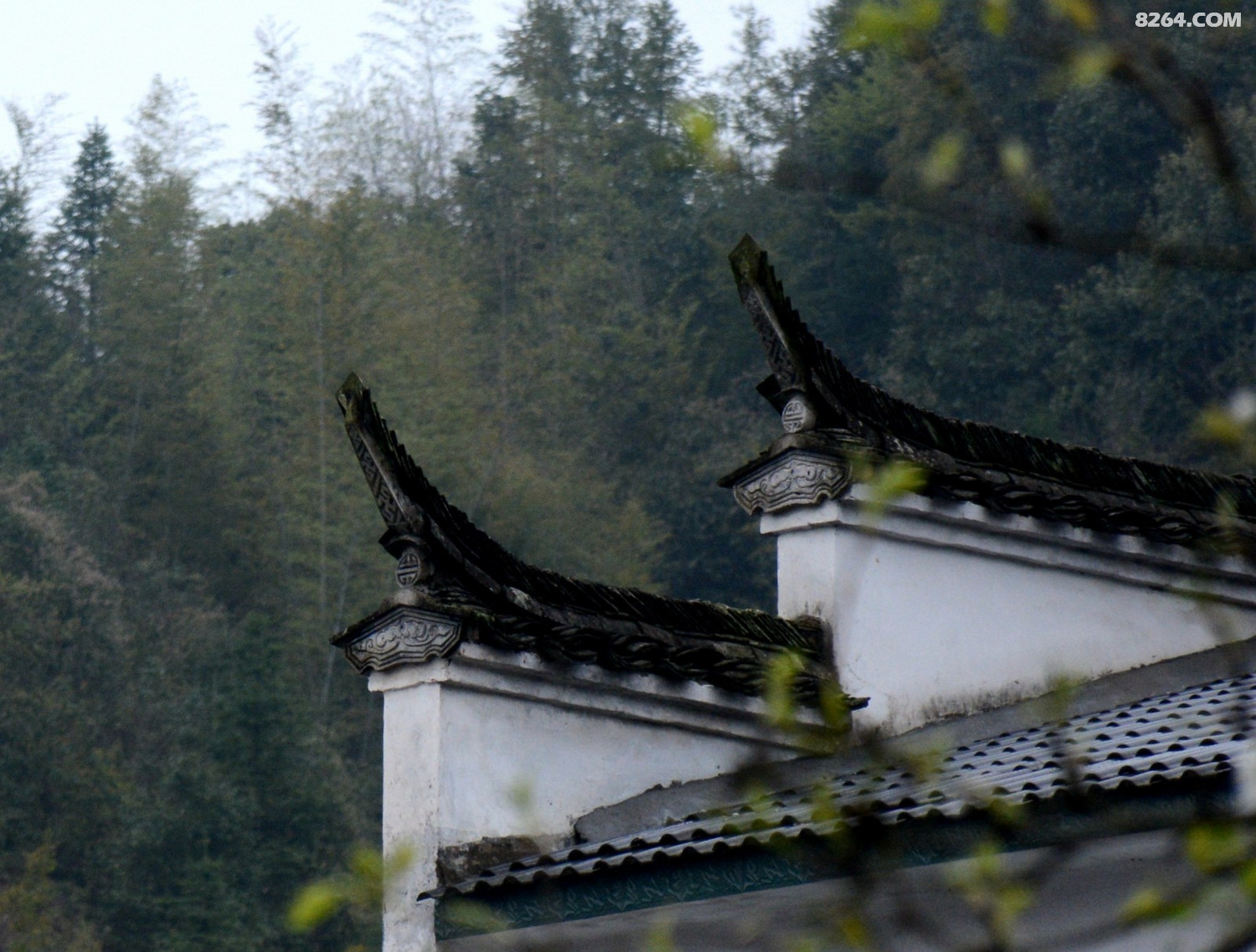 DSC_5332_����.jpg 2.jpg