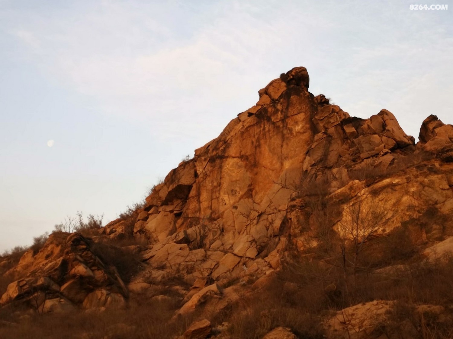 春游昌黎东山公园掠影