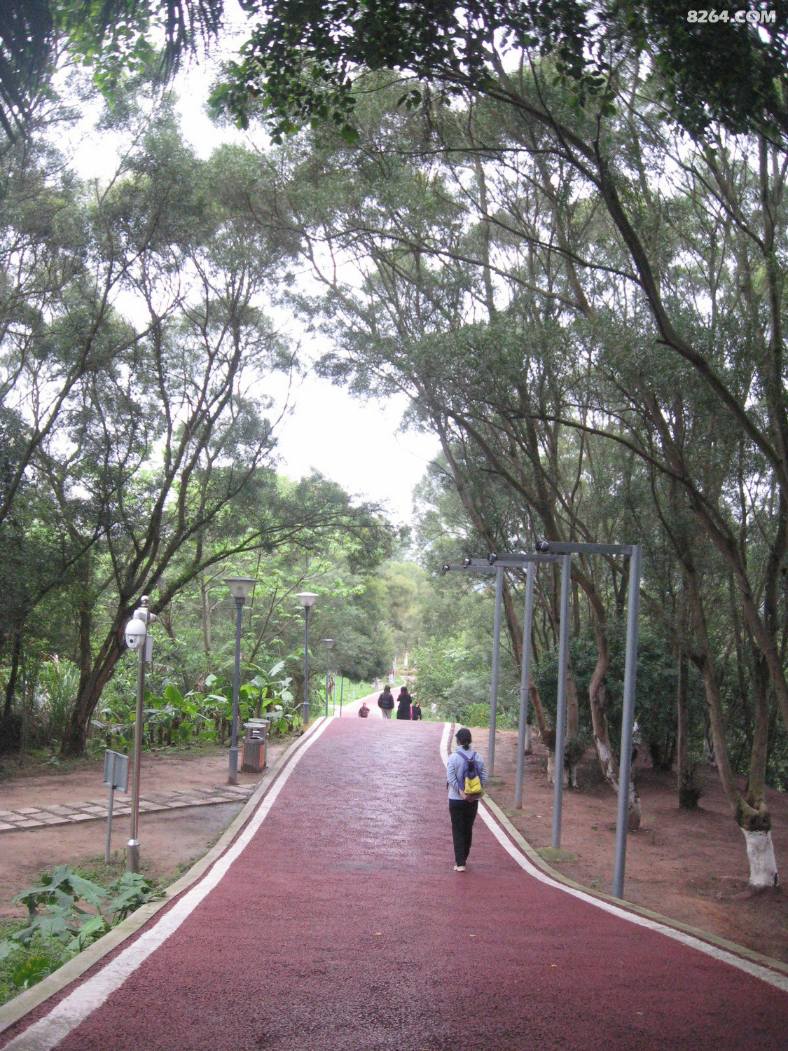 连江含光生态公园再巡游建廊桥后4月15日