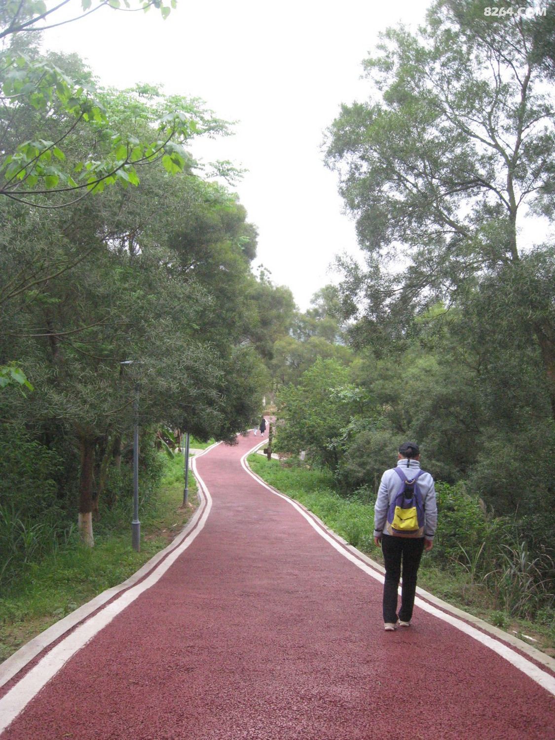 连江含光生态公园再巡游建廊桥后4月15日