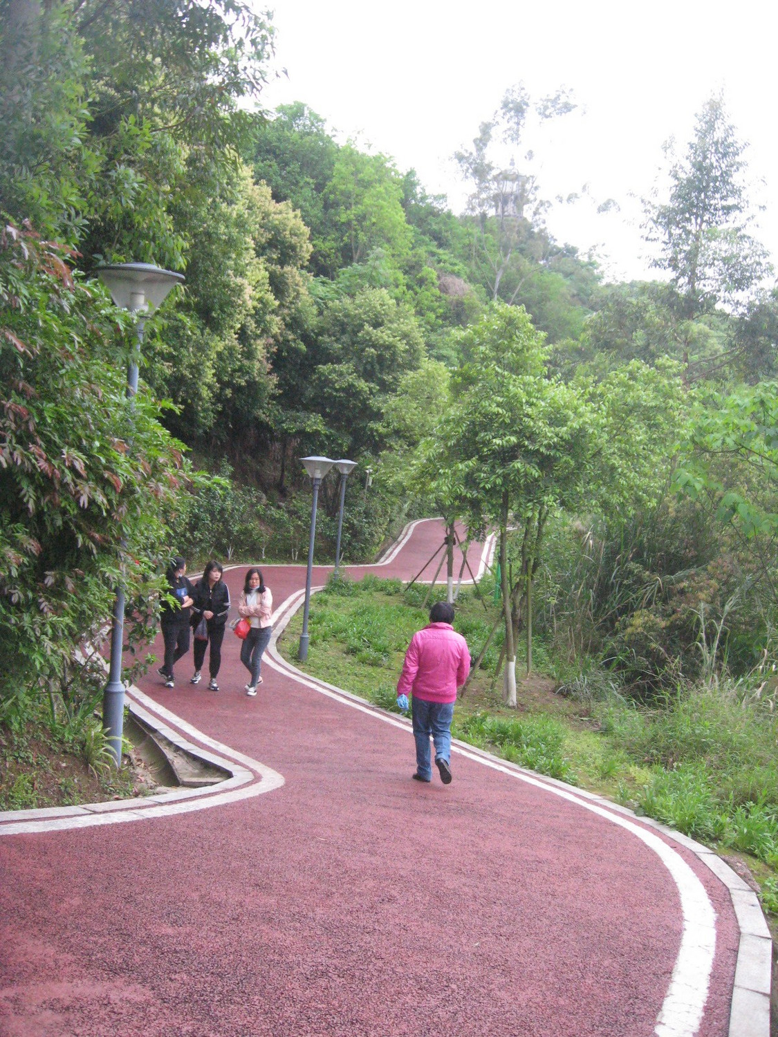 连江含光生态公园再巡游建廊桥后4月15日