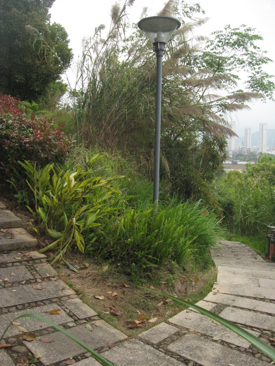 连江含光生态公园再巡游建廊桥后4月15日