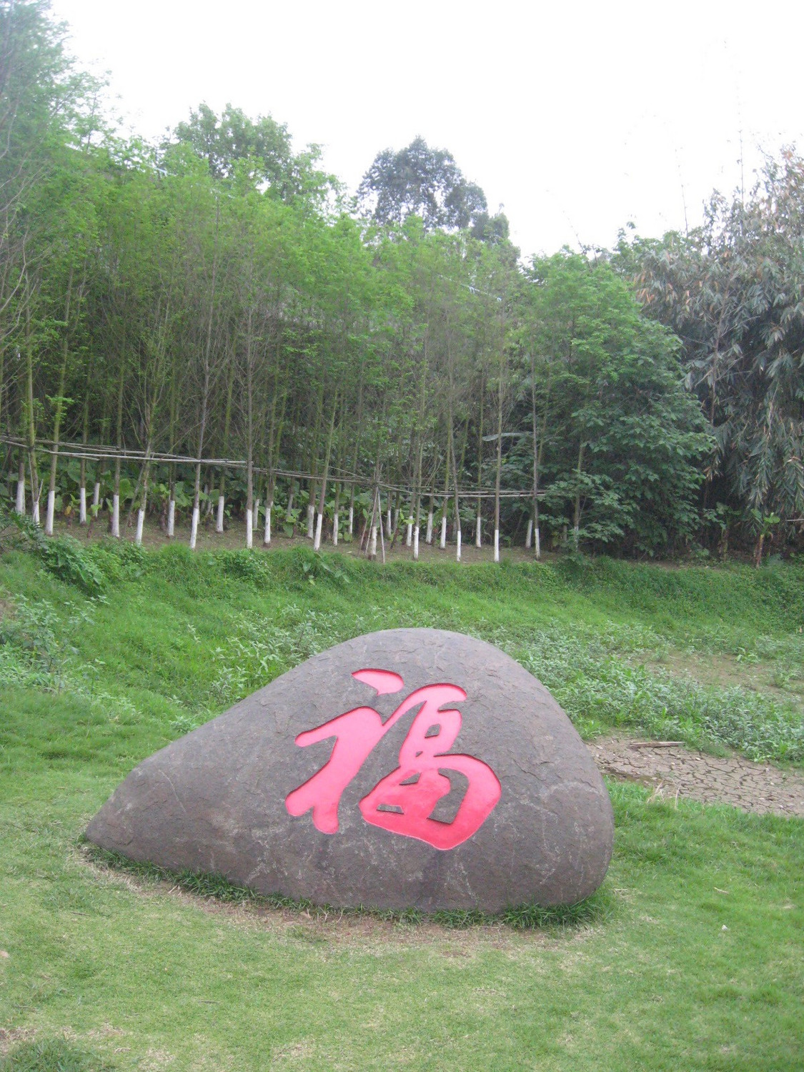 连江含光生态公园再巡游建廊桥后4月15日