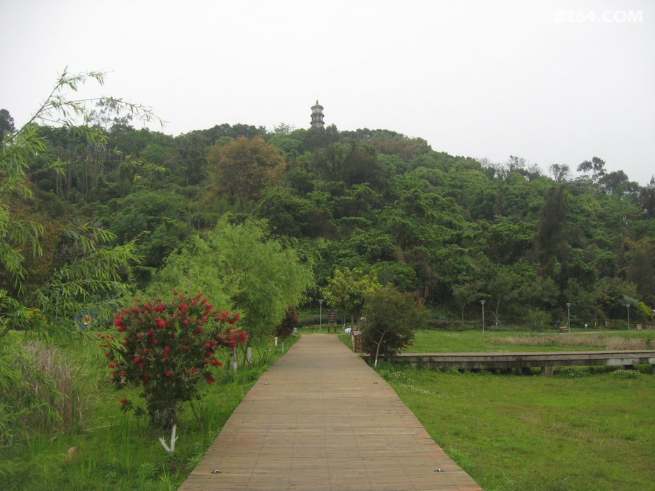 连江含光生态公园再巡游建廊桥后4月15日
