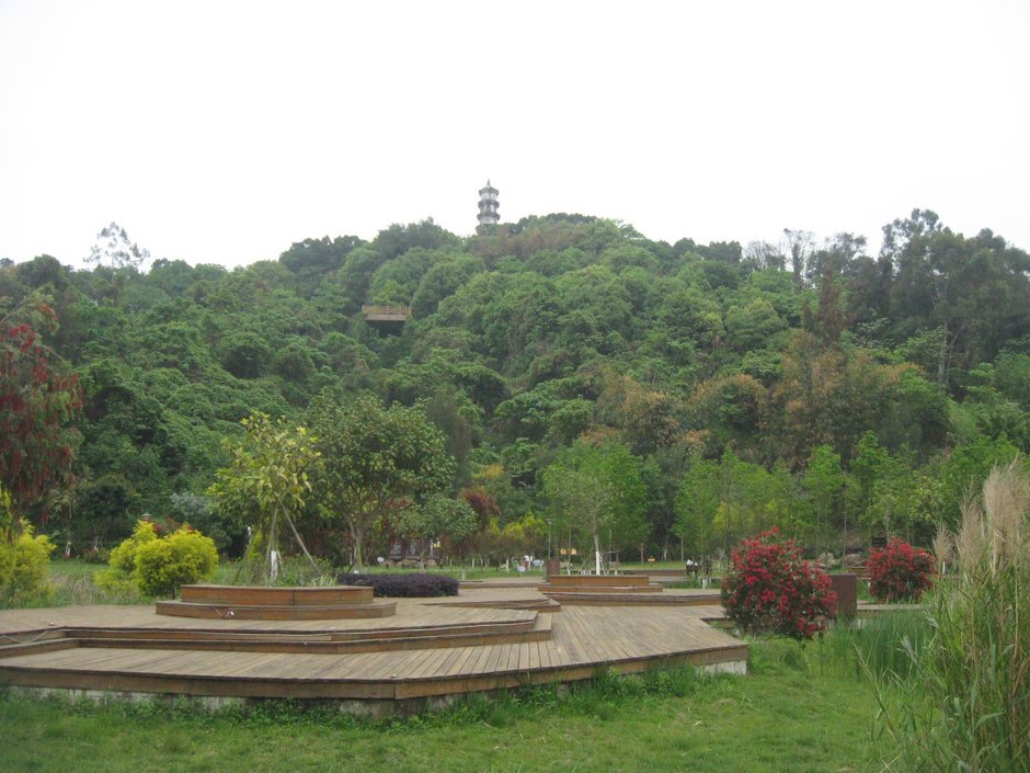 连江含光生态公园再巡游建廊桥后4月15日