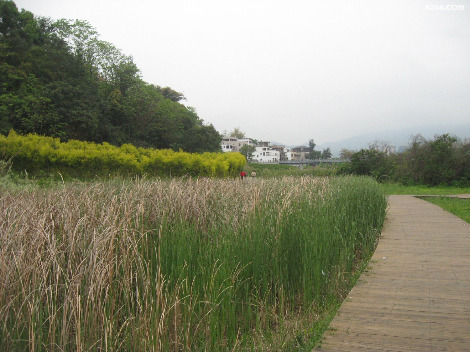 连江含光生态公园再巡游建廊桥后4月15日