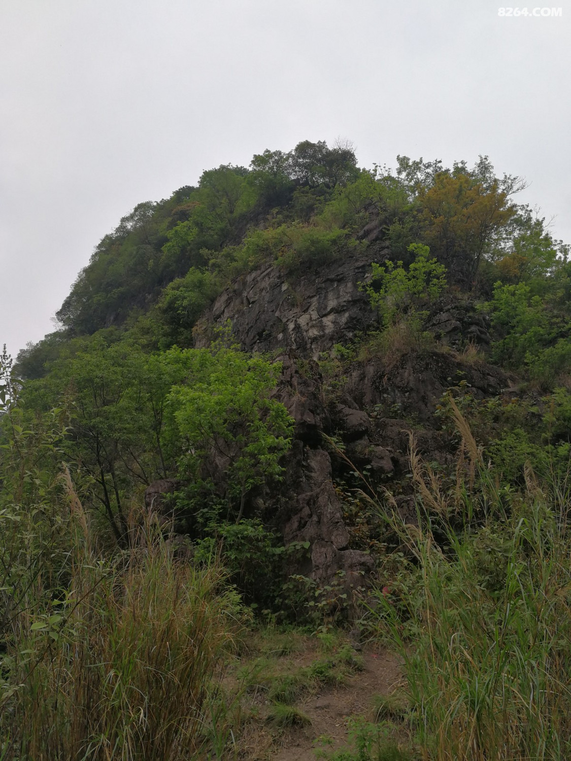 IMG_20210328_161339.jpg