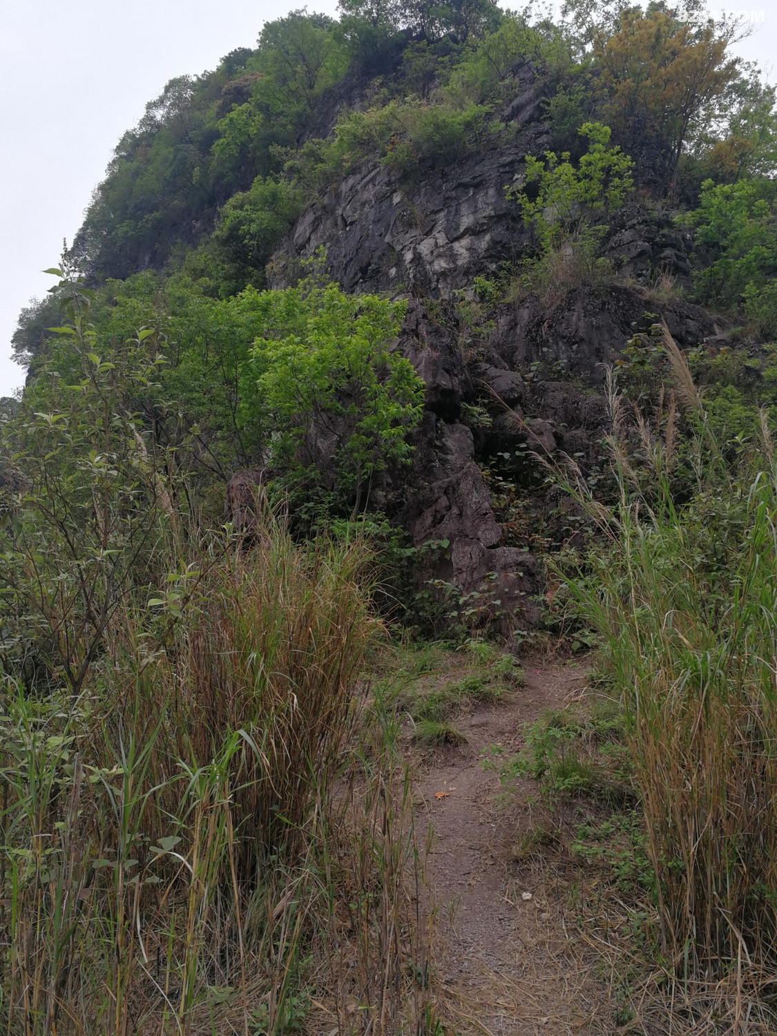 IMG_20210328_161348.jpg