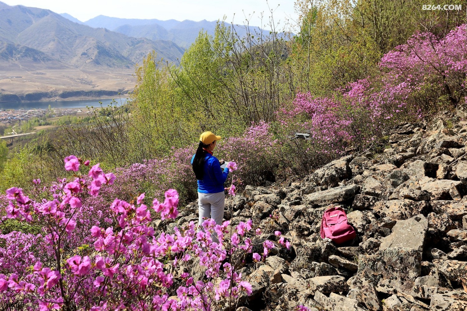 集安板石砬子赏花采菜一日游