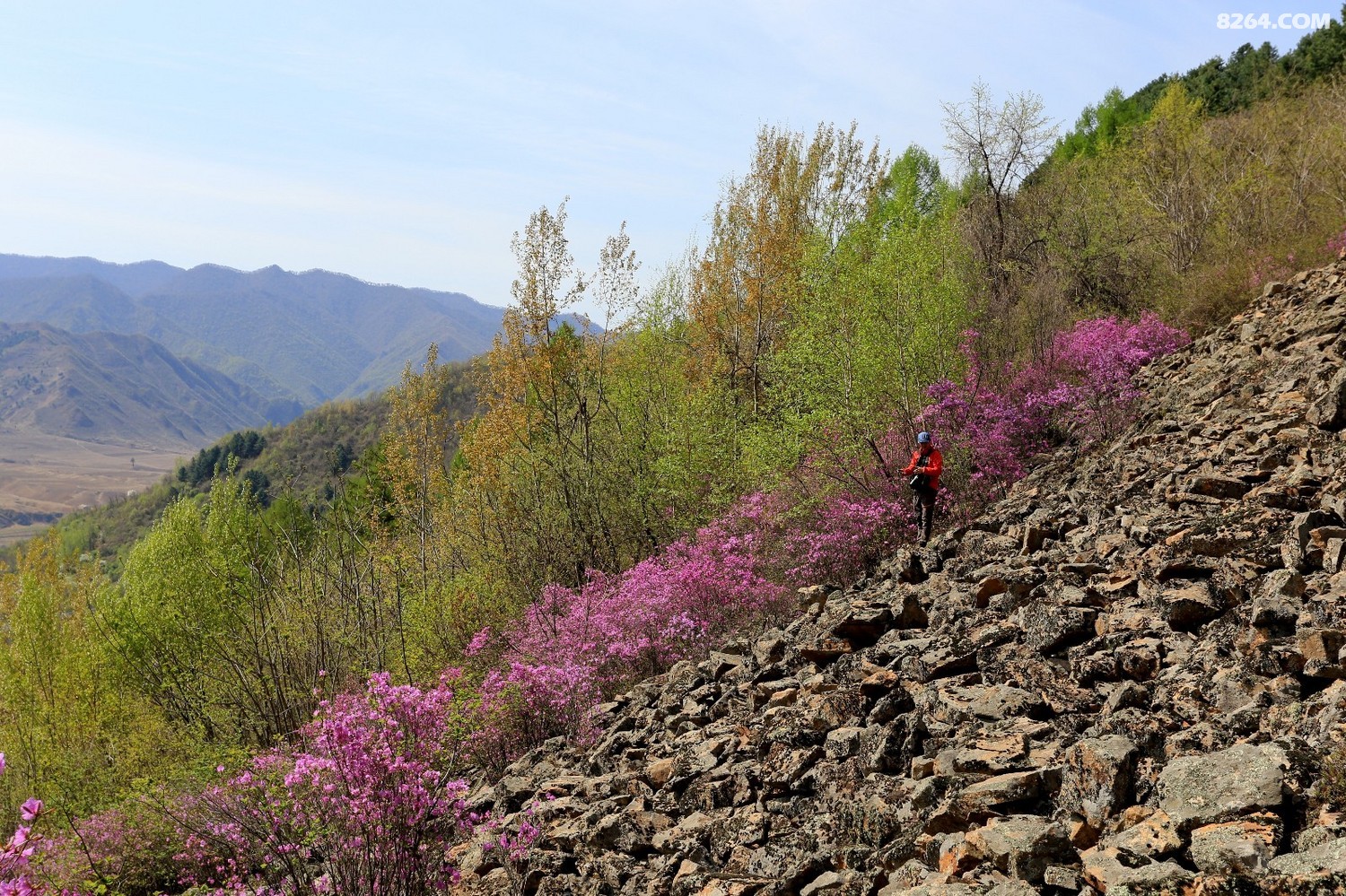 集安板石砬子赏花采菜一日游