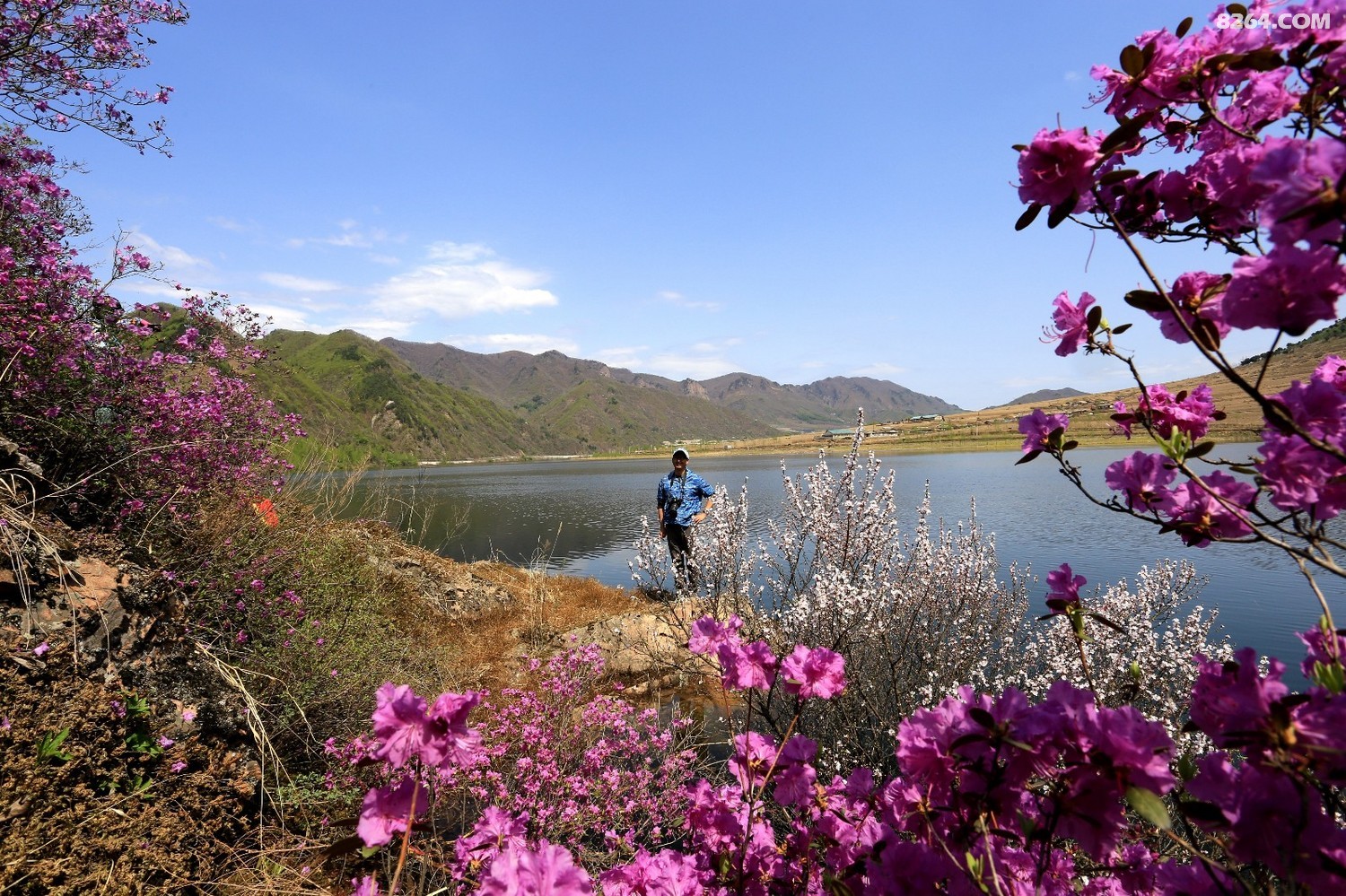 集安板石砬子赏花采菜一日游