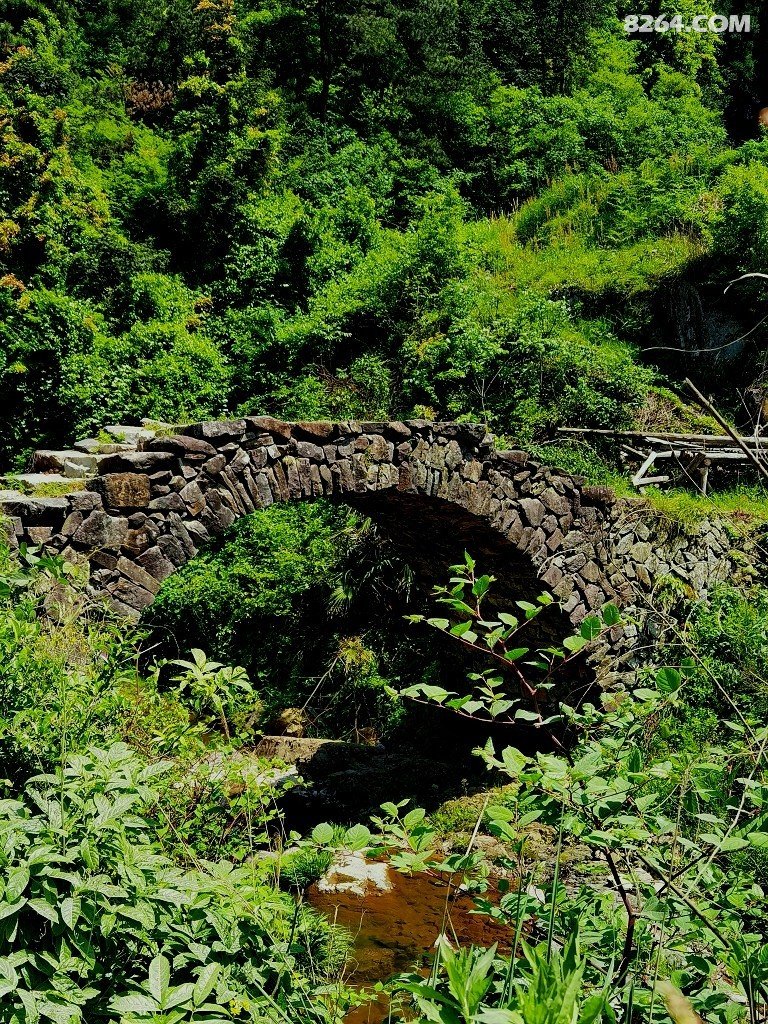 野水寻溪路古道踏晚春游岩下石头村走普通岭苍岭古道