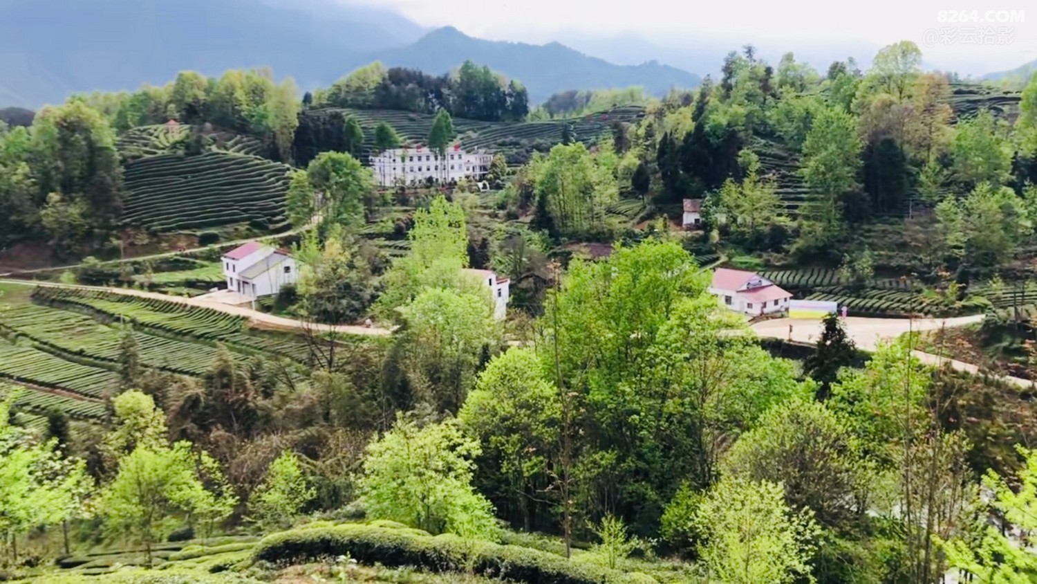 陕南被遗忘的地方