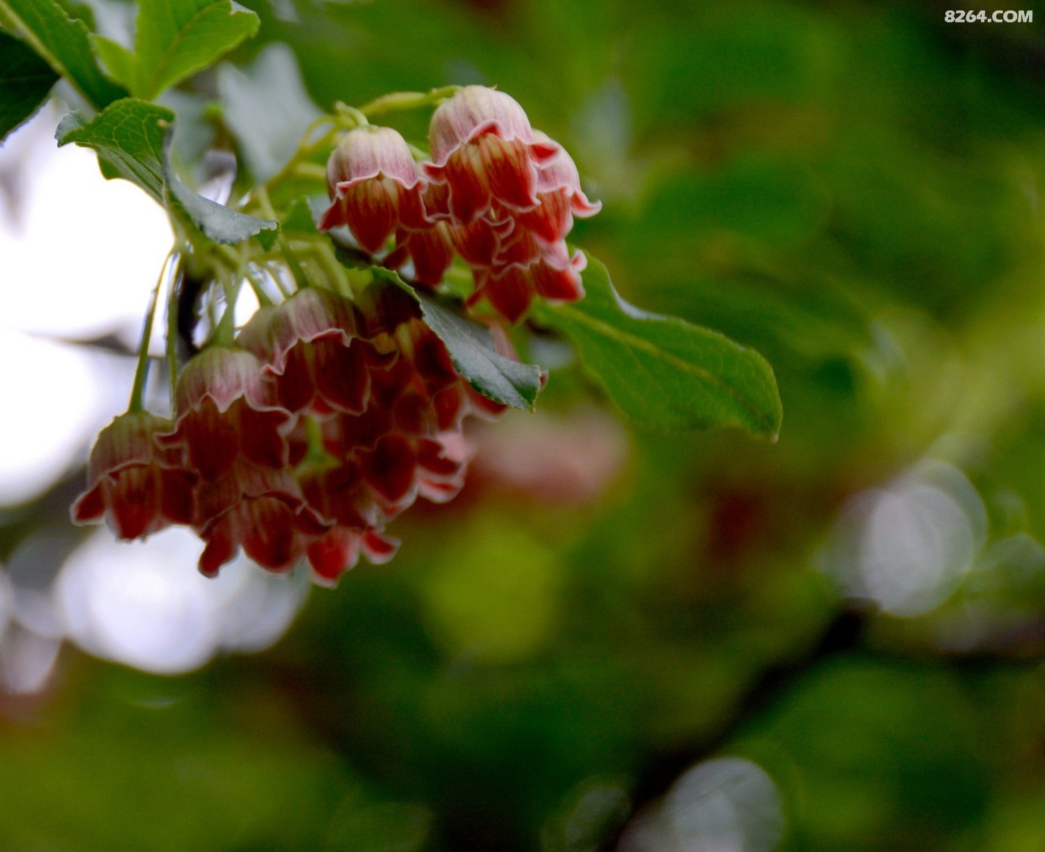 DSC_8569_���� 1.jpg