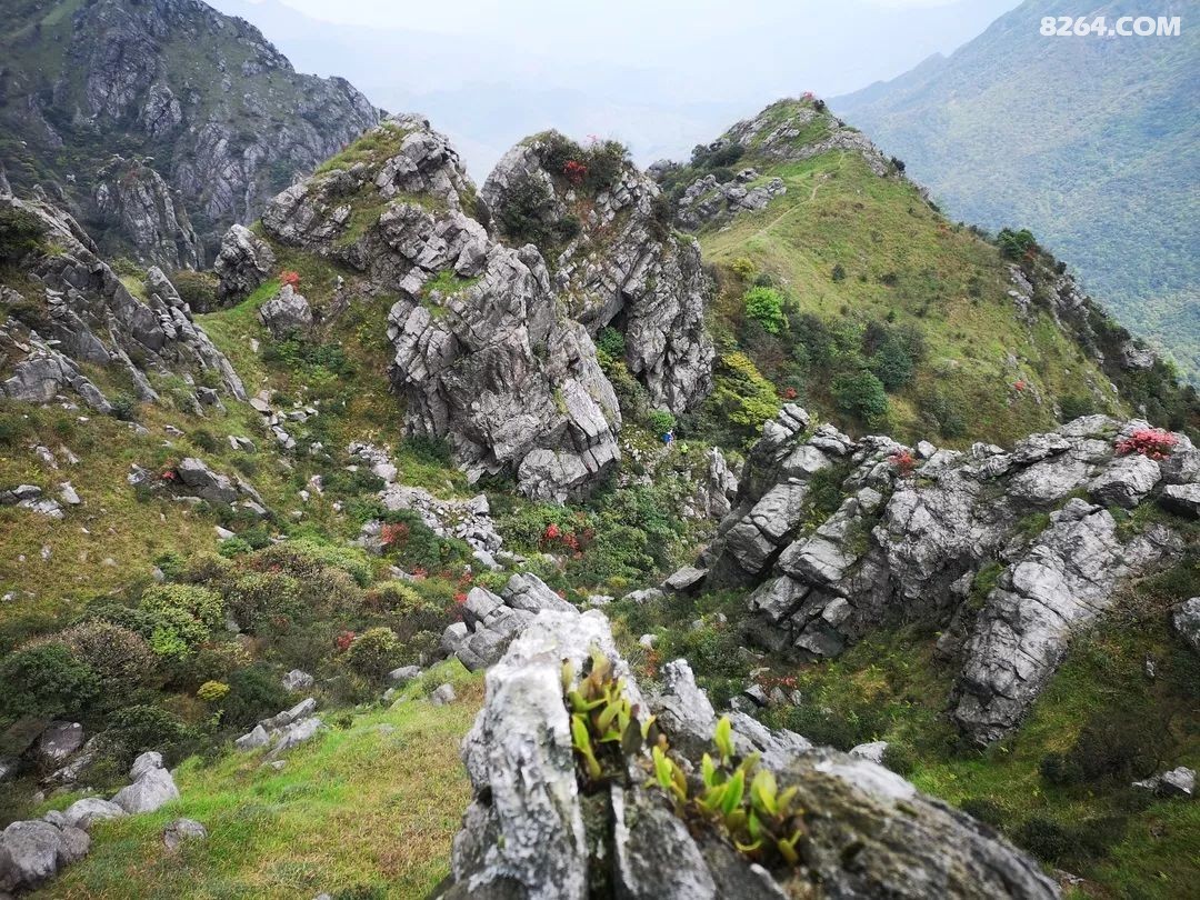 约伴江西省龙南市九连山黄牛石户外徒步