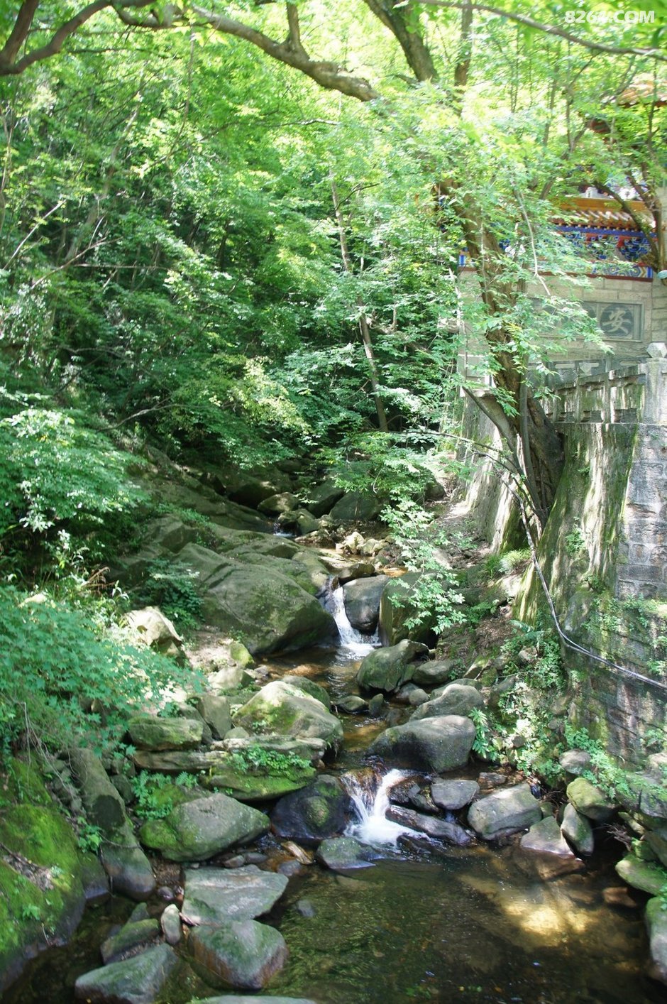 水帘洞桐柏