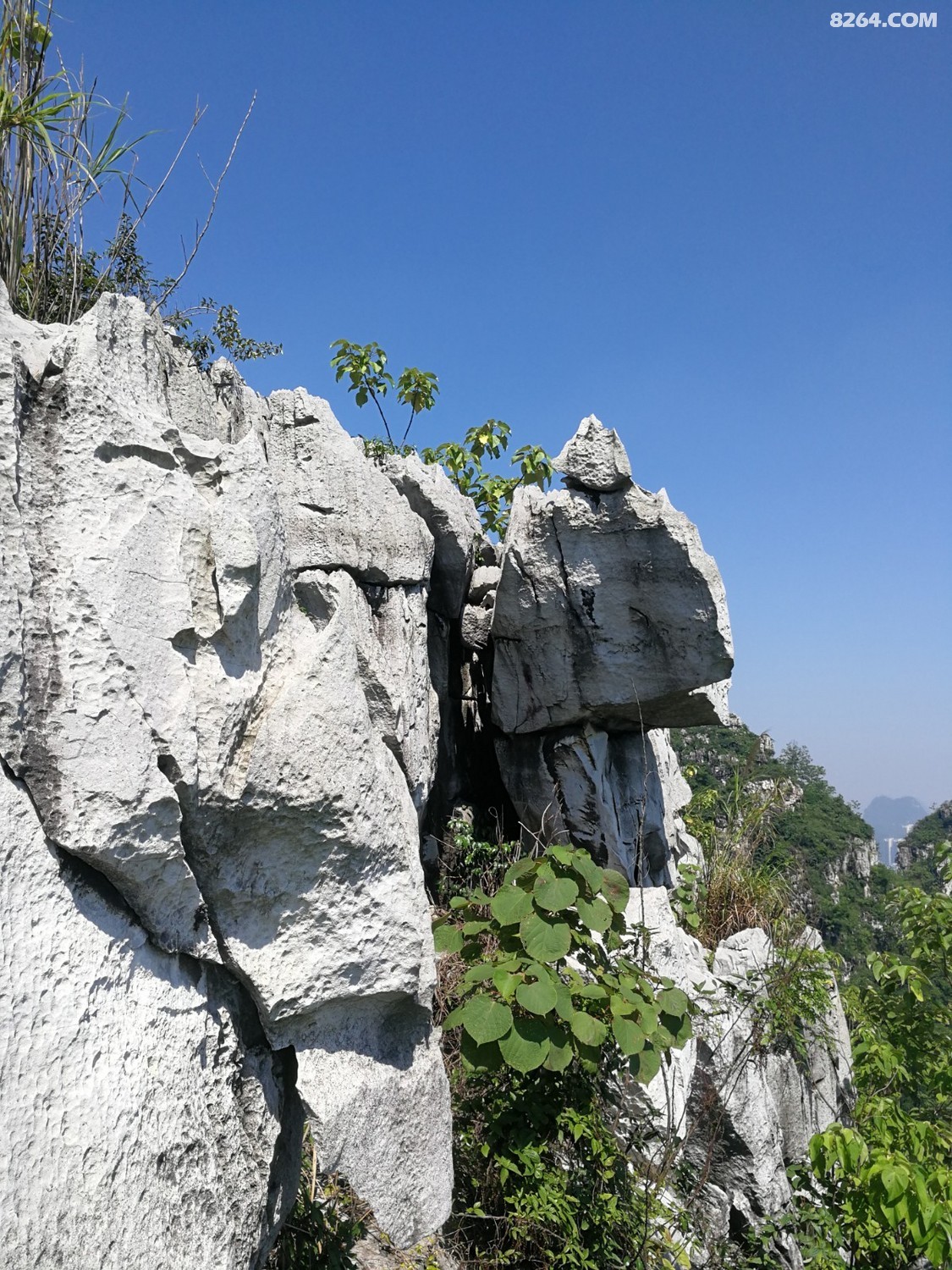 IMG_20210606_101422.jpg