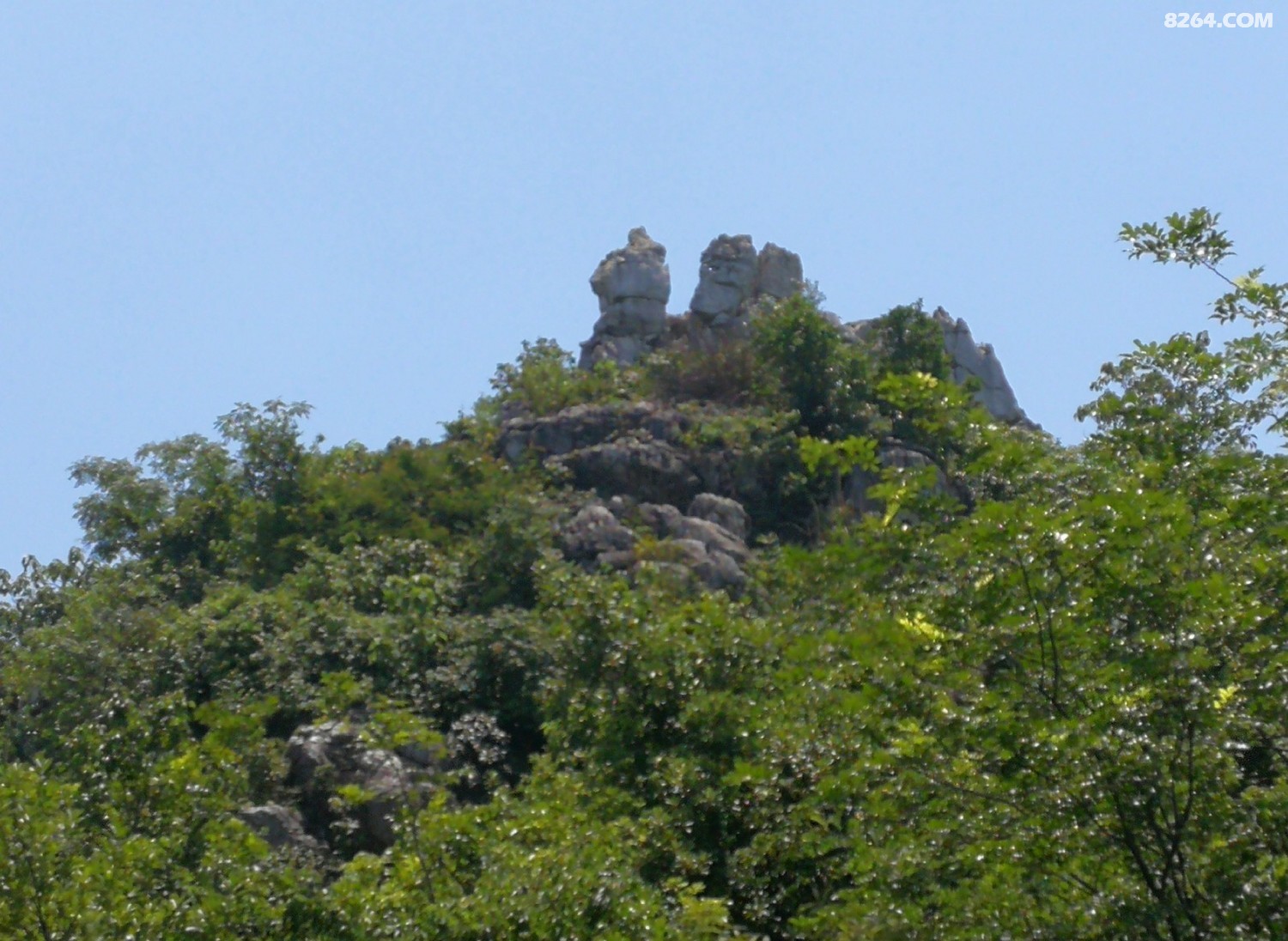 IMG_20210606_115025.jpg