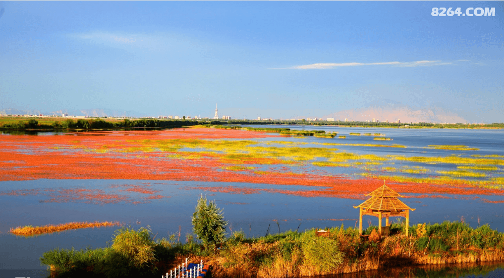 巴楚红海1.png