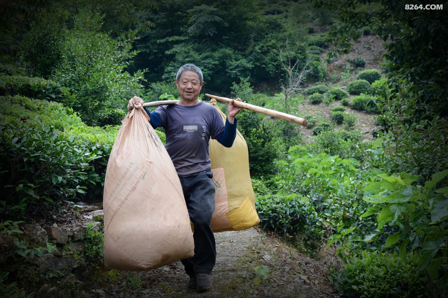 DSC_0247_�� 1.jpg