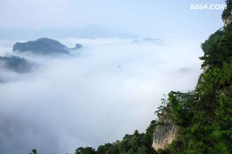 光雾山桃园景区七女峰