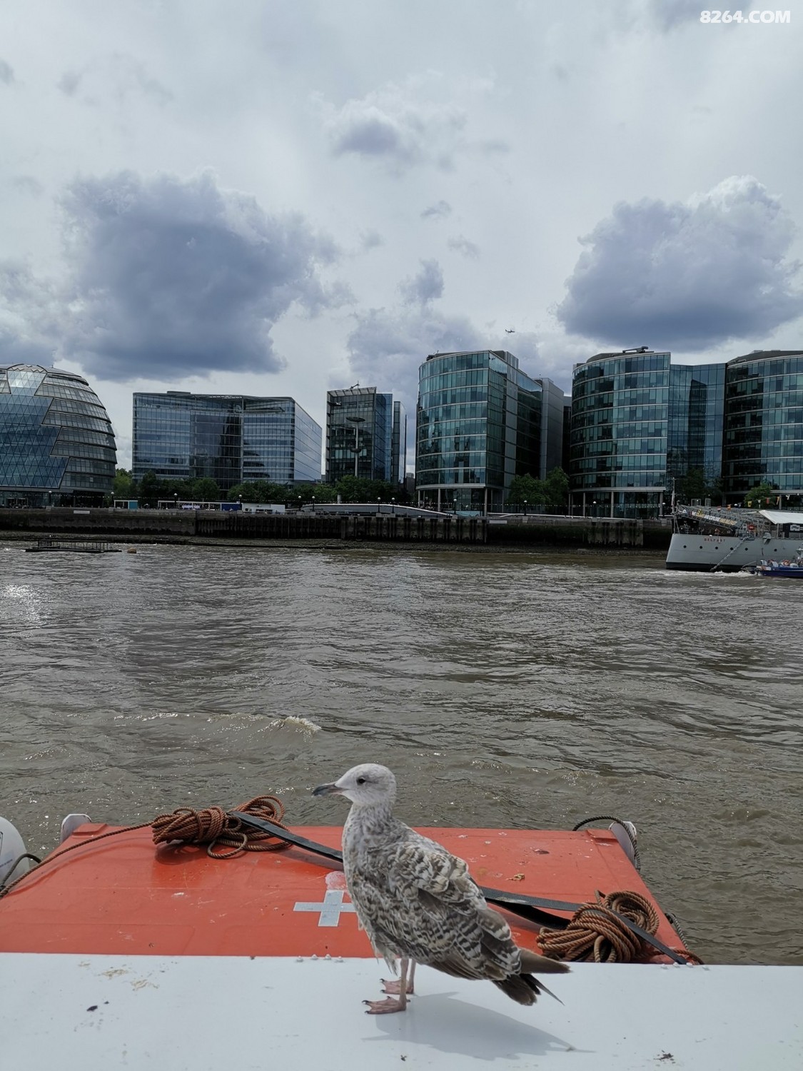 IMG_20190609_123048.jpg
