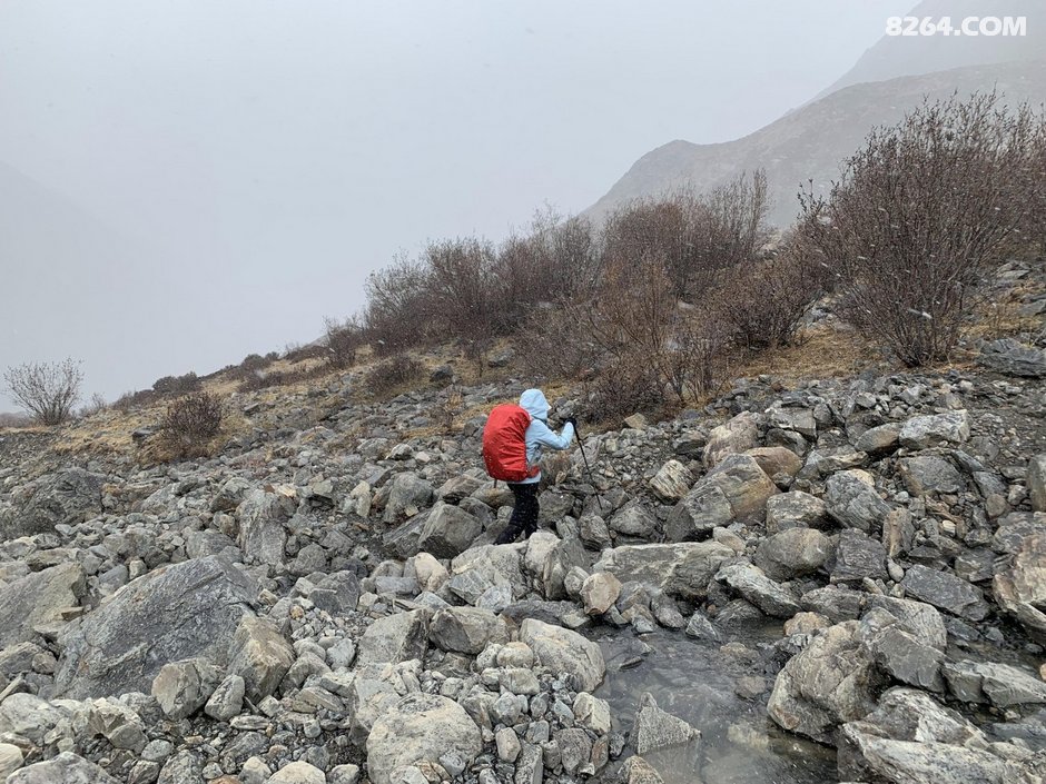 114003yd90sznn8alct2wk.JPG!t3w825h0