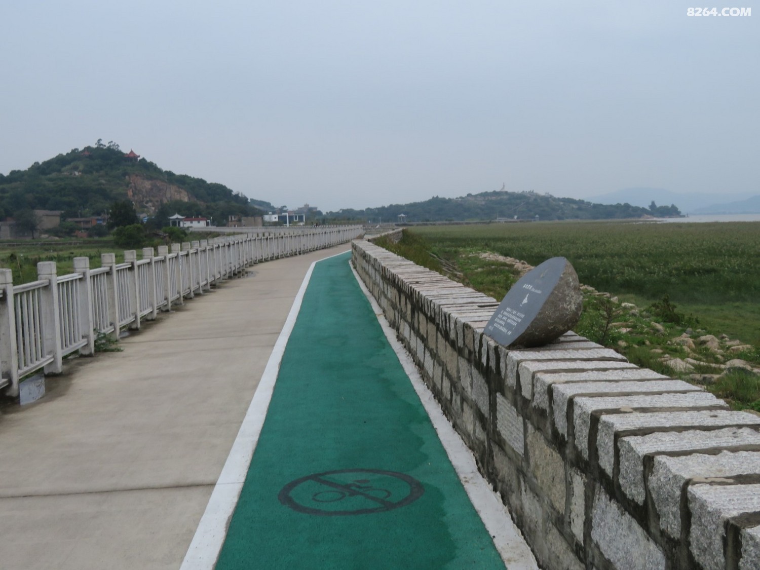 福建长乐闽江河口国家湿地公园随拍2021年10月20日