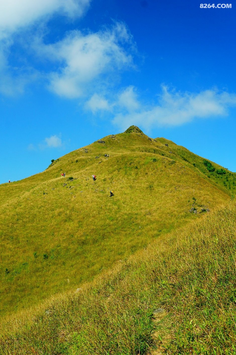 金秋十月观山观景观三官―――茂名三官山随拍记录