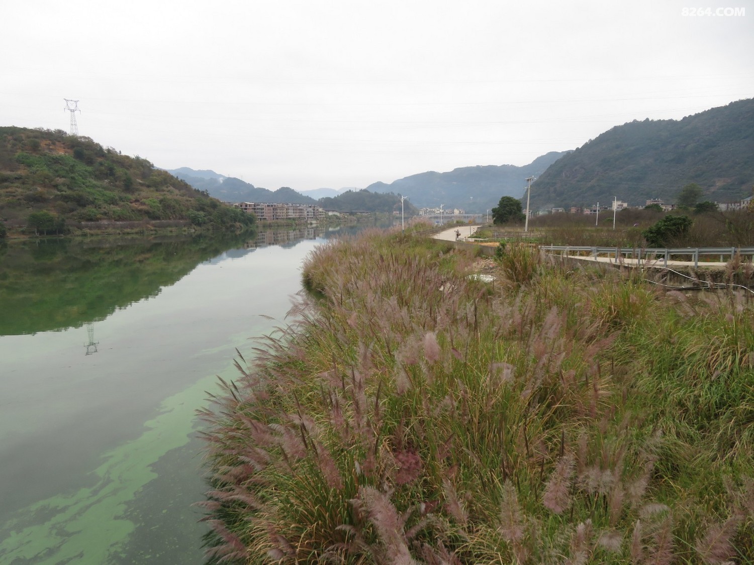 永泰县梧桐镇大樟溪畔随拍2021年11月27日