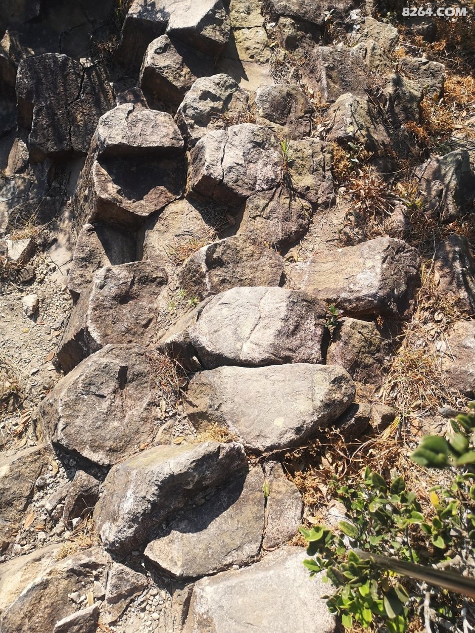 0910339v8mh840wejhcrtz.jpg!t3w825h0