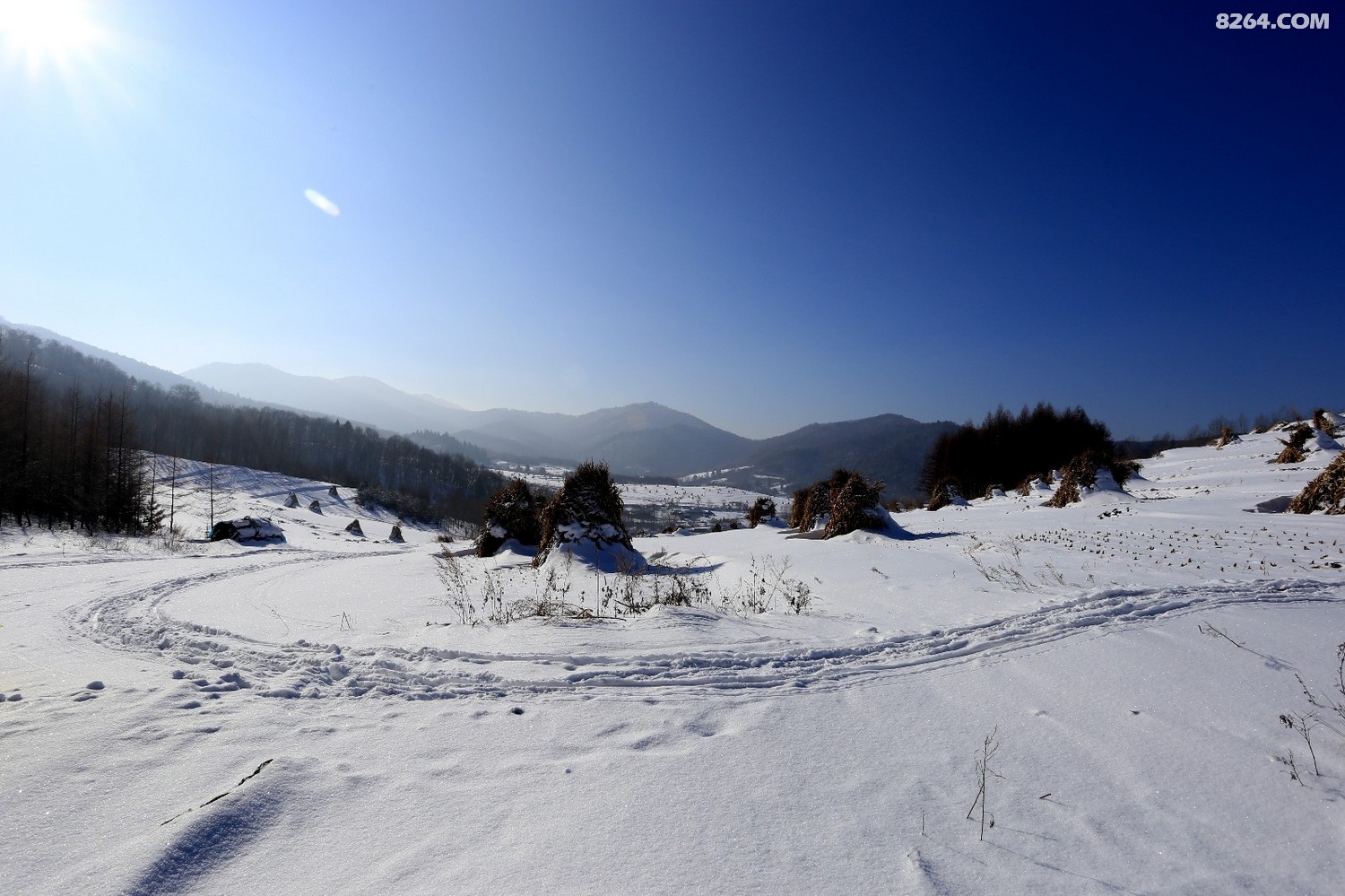 20220109 079.jpg