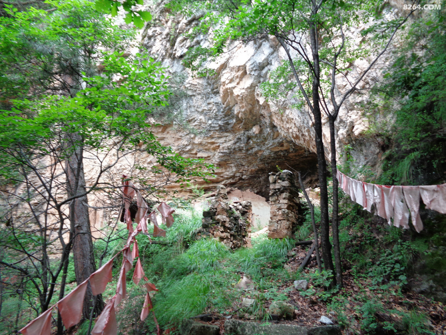 DSC03772.JPG