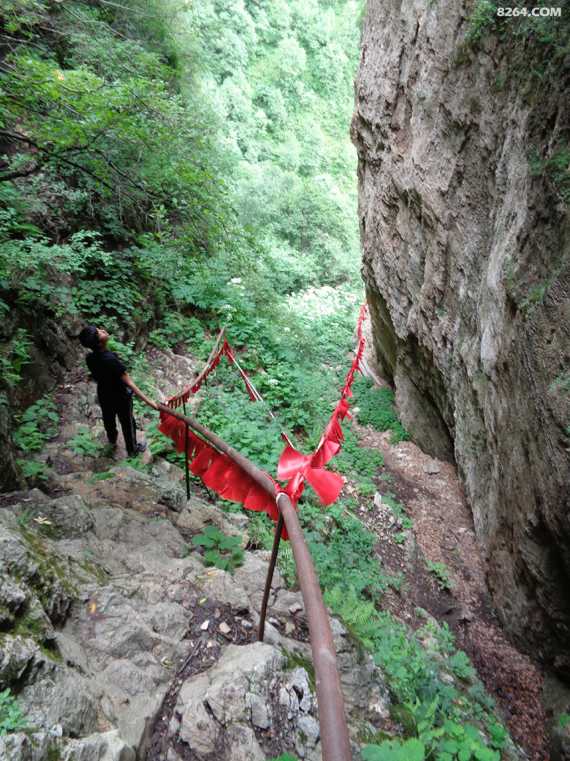 DSC03783.JPG