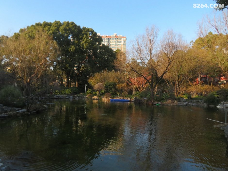 游上海漕溪公园