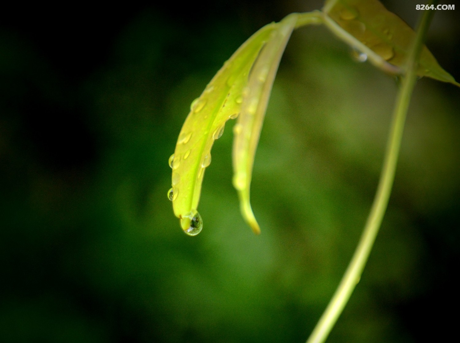 DSC_8803_���� 1.jpg