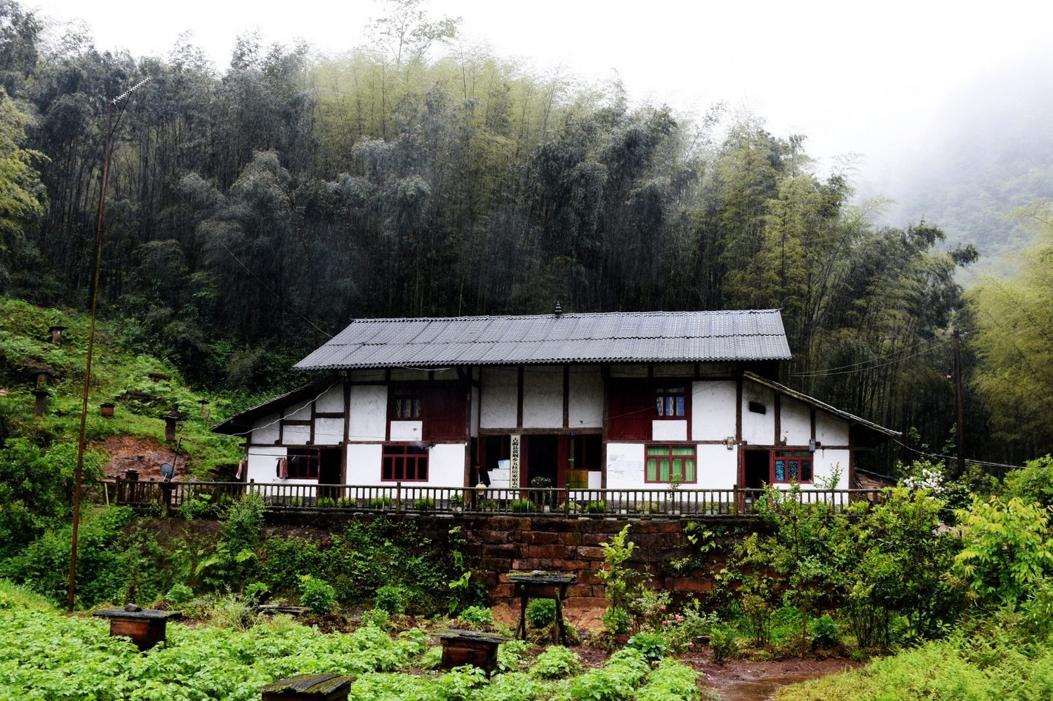 黄金周去黄荆老林找寻大自然孕育的神奇五一古蔺大沙溪环线