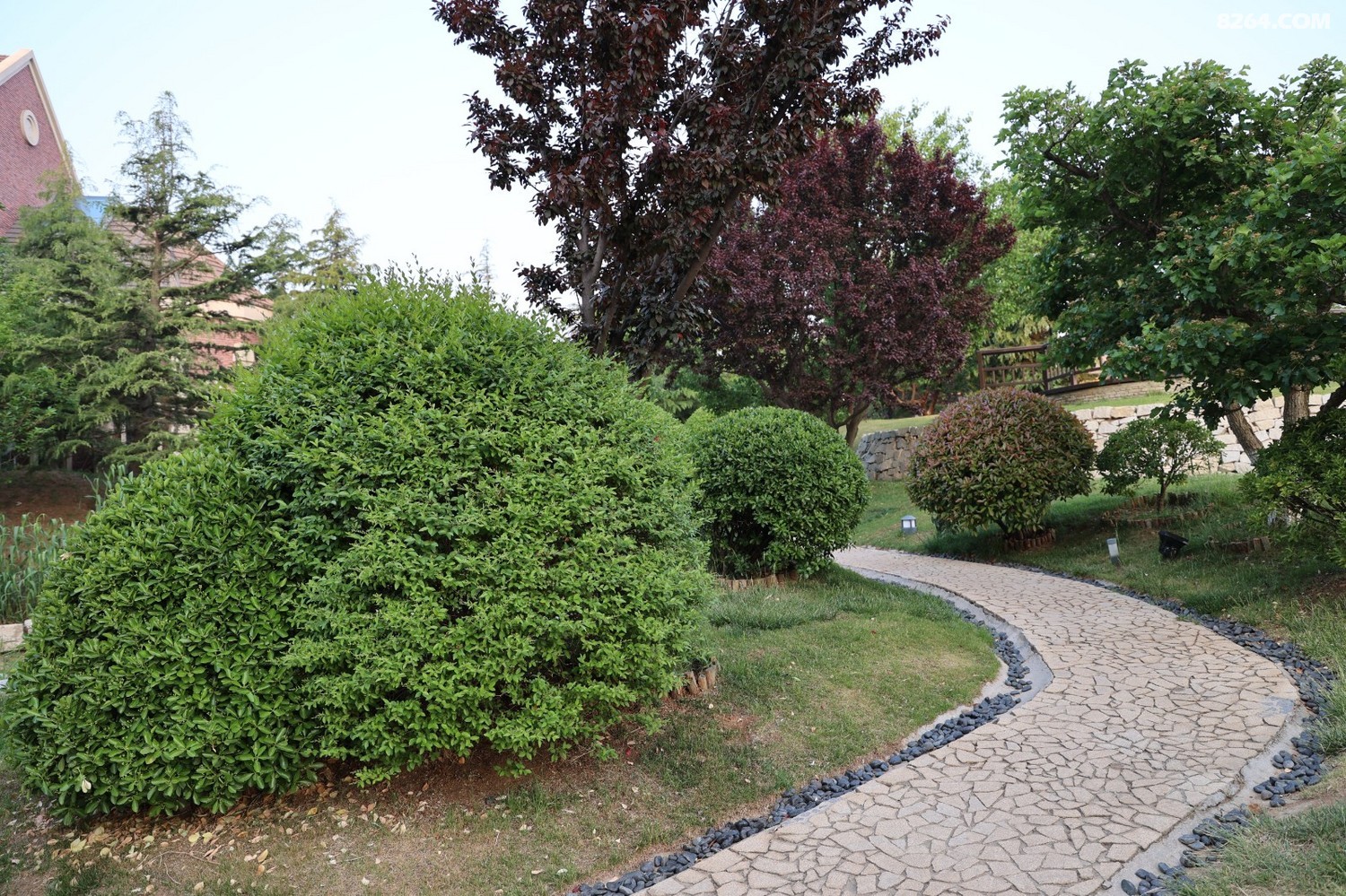 8P5A0027.JPG