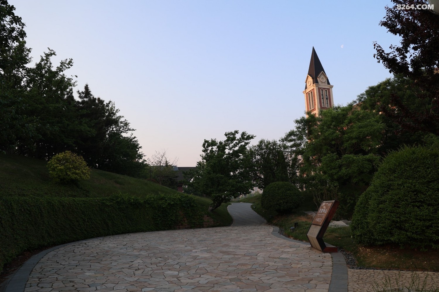 8P5A0029.JPG